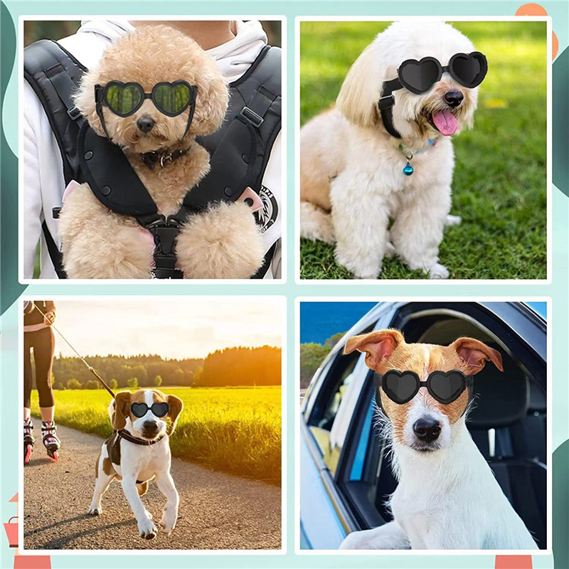 1 adet kalp şeklinde küçük köp - Sunglass Retainer Cord incelemesi ve fiyatı